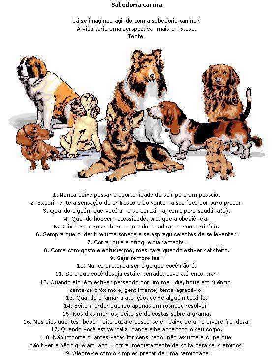 Filosofia Canina